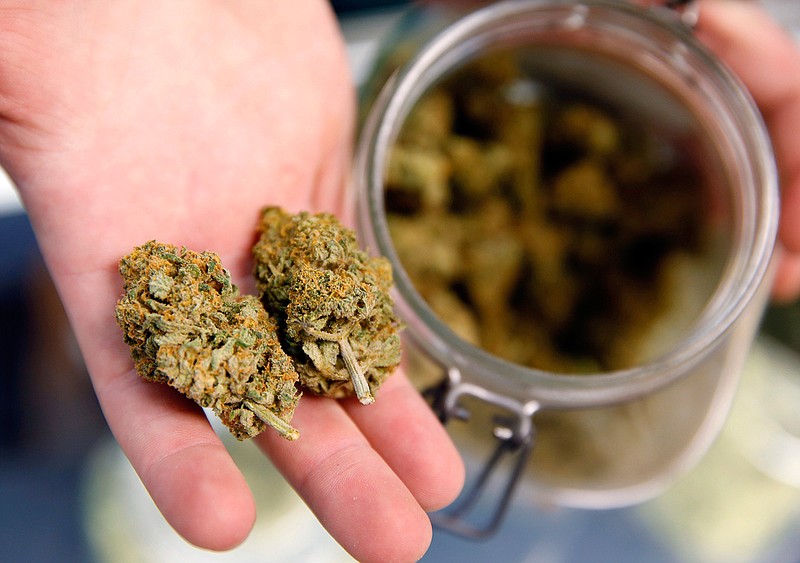 This Nov. 27, 2015 file photo shows two marijuana buds displayed for a customer in Denver. A government report released on Tuesday, June 17, 2019 shows that pot use in pregnancy has doubled among U.S. women and is most common during the first trimester. (AP Photo/David Zalubowski, File)