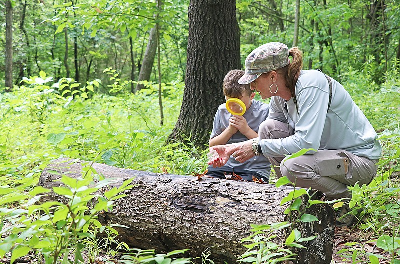 Denise Welch and grandson Ryder Dutton survey an ant colony Saturday during the BioBlitz's Forest Fun Insect Discovery. BioBlitz, hosted at Runge Nature Center, was a two-day event that encourages visitors to explore plants, animals and other forms of life found in Missouri.