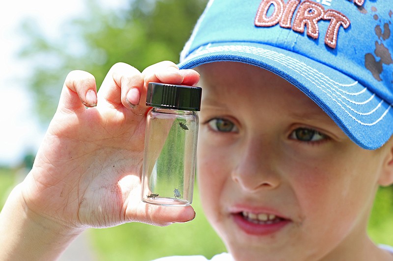 Beckett Roth, 6, shows off a vial of insects he caught during the BioBlitz's prairie insects survey Saturday. BioBlitz, hosted at Runge Nature Center, is a two-day event that began Friday afternoon. The event encourages visitors to explore plants, animals and other forms of life found in Missouri.