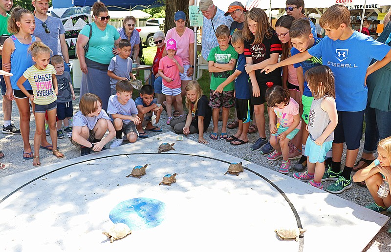 A group of children and their families surround a large wooden board utilized for turtle races Saturday, June 29, 2019, at the annual Tebbetts Picnic and Muttonfest. A group of turtles were placed in the center of the board, released and then cheered on by their owners, as they waddled to the outer corners of the board. The first two turtles to exit the painted circle moved on to the finalist round.