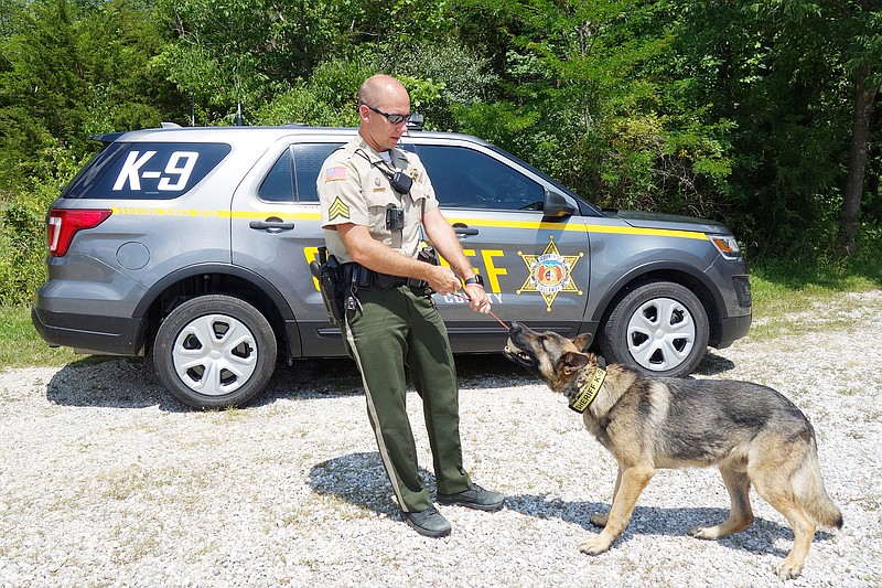Deputy Corey Schmidt and new Callaway County Sheriff's Office K9 Krieger play tug-of-war Tuesday. Sunday was the pair's first official day on the job following eight weeks of intense training.