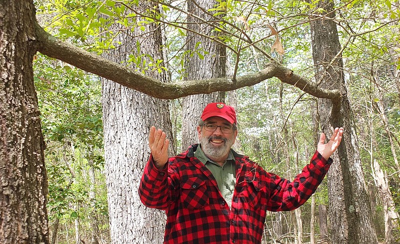 Roger Geiger of Eagle Landing in Avinger has the right expression, all right. He doesn't understand how this limb is growing out of two tree trunks. He says forest experts are stumped, too. He's not telling the precise location in order to keep the marvel safe.
