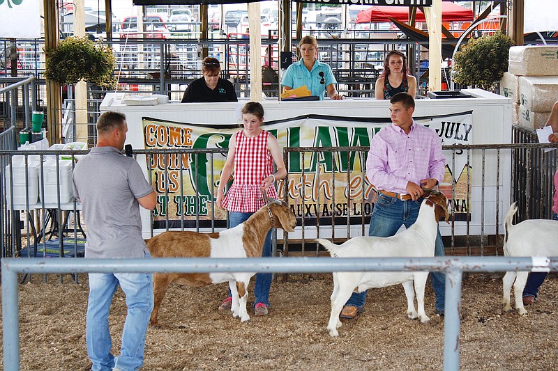 Bryan Kutz, left, judges the goats of Maeley Parrish, middle, and Bryor Delashmutt during the goat show Thursday. The goats are is just one of many species shown that take place throughout the Callaway Youth Expo.