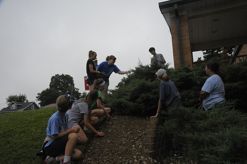 <p>Danisha Hogue/News Tribune</p><p>Lois Dunnaway leads a group of 3MT youth in removing bagworms from bushes at California Middle School. The organization focuses on outdoor service projects in Missouri.</p>