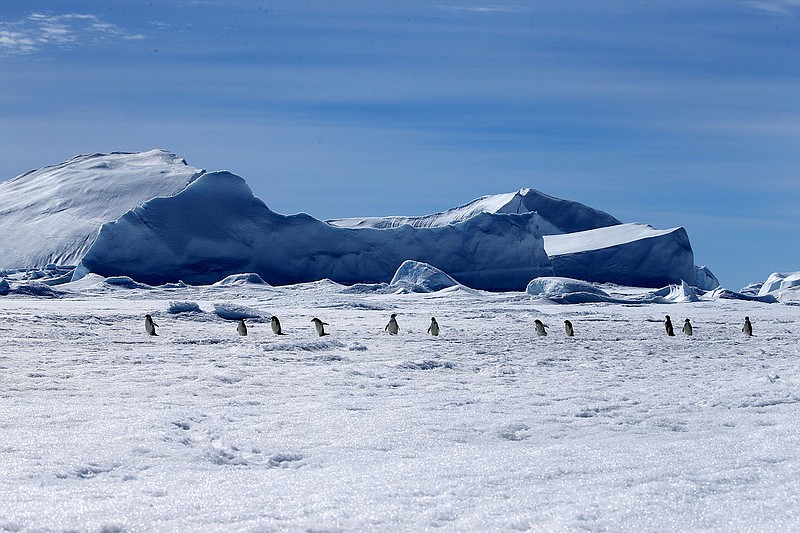 Taking a dream vacation to Antarctica? Travel insurance is a must. (Bai Guolong/Xinhua/Zuma Press/TNS)