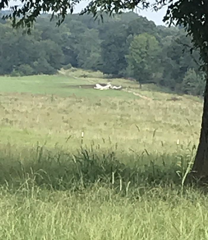 A small plane crashed near De Queen Sunday afternoon. Lori Dunn is on the scene for the Texarkana Gazette. No details have yet to be released and officials are keeping the public and press at a distance from the site. 