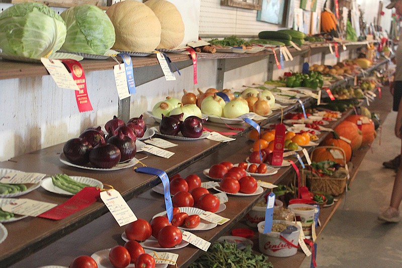 Home-grown vegetables entered in the Moniteau County Fair provide an additional source of color to the basement of Centennial Hall Aug. 10, 2019.