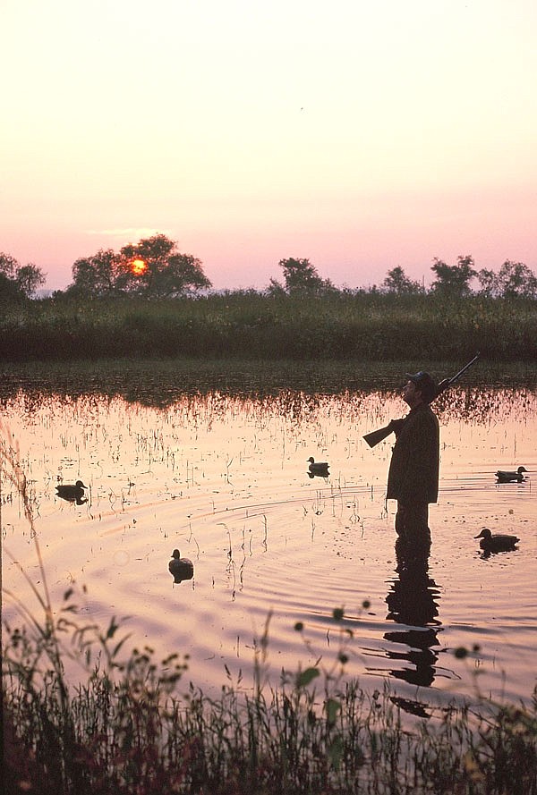 A hunter surveys the sky during an early season teal hunt sunrise.