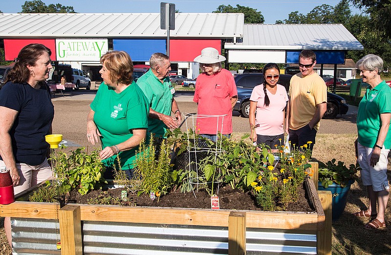 From left, Paula Hall, Becky Barrett, Chead Blue, Joyce Adams, Aleeya Mathews, Evan Mathews and Sandra Bell admire the Keyhole Garden at Gateway Farmers Market.