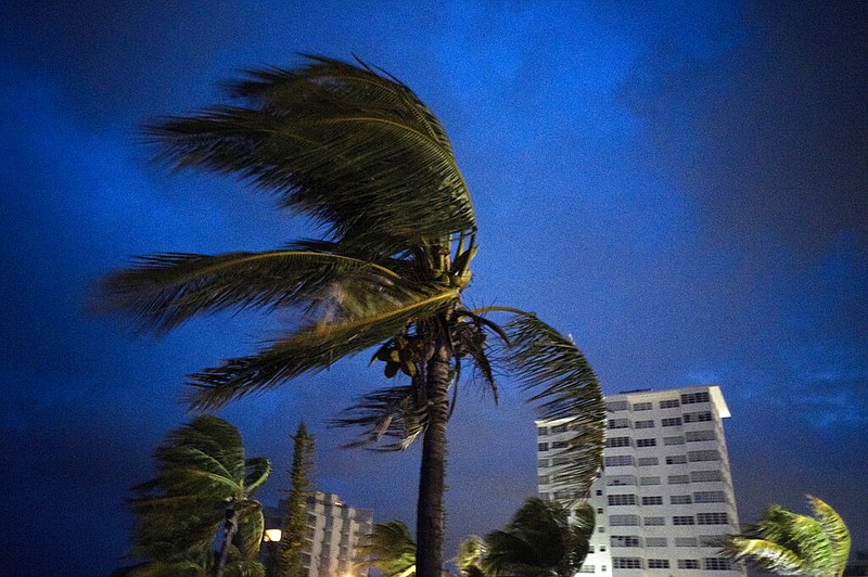 Strong winds move the palms of the palm trees at the first moment of the arrival of Hurricane Dorian in Freeport, Grand Bahama, Bahamas, Sunday Sept. 1, 2019. (AP Photo/Ramon Espinosa)