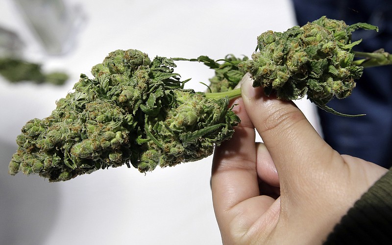 FILE - In this March 25, 2018 file photo, a visitor examines a marijuana sample at the New England Cannabis Convention in Boston. Black entrepreneurs who say people of color are being shut out of the lucrative marijuana trade are joining forces to close the gap. Real Action for Cannabis Equity launched Thursday, Sept. 5, 2019, in Boston, and its founders say the coalition will work to create more opportunities in the industry for minority owners nationwide. (AP Photo/Steven Senne, File)