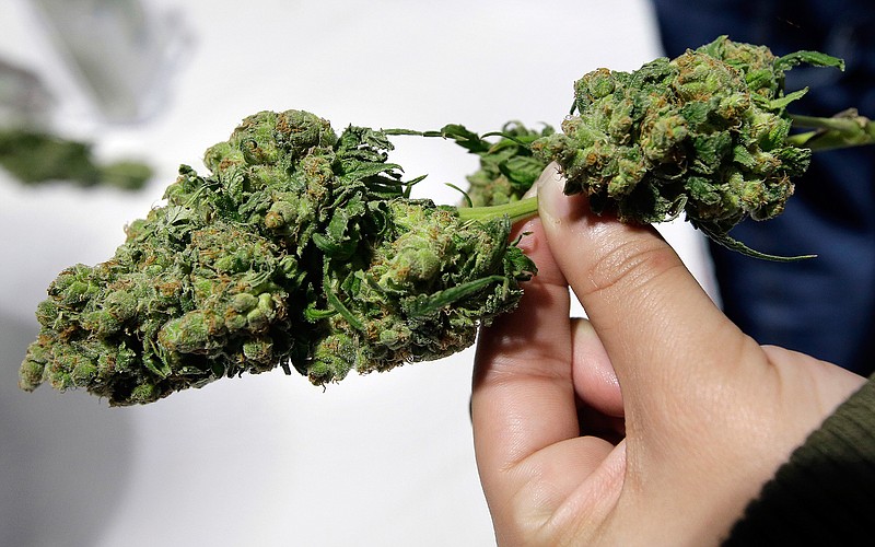 A visitor examines a marijuana sample at the New England Cannabis Convention on March 25, 2018, in Boston. Real Action for Cannabis Equity, which launched Thursday, says the coalition will work to create more opportunities in the industry for minority owners.