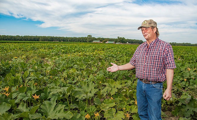 Though a bit late, Missouri River bottom farmer Jay Fischer managed to get pumpkins planted after the floodwater receded this summer. 