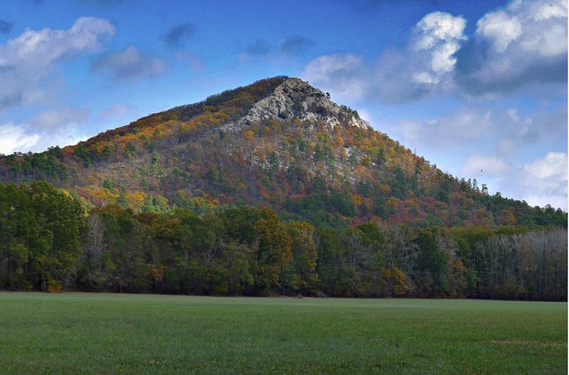 Pinnacle Mountain, just west of Little Rock, is a prime spot to see waterfowl, egrets, herons, raptors, sparrows, bluebirds, woodland birds and vultures. (Arkansas Department of Parks, Heritage and Tourism)
