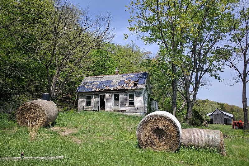 <p>Helen Wilbers/For the News Tribune</p><p>An upcoming workshop with the University of Missouri Extension in Callaway County offers seven hours of instruction in growing hay for beef operations.</p>