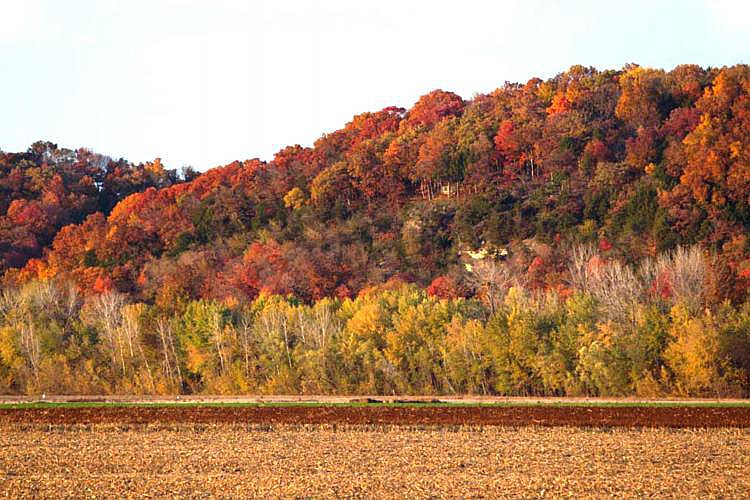 Prepare to view autumn foliage with Missouri's fall color forecast