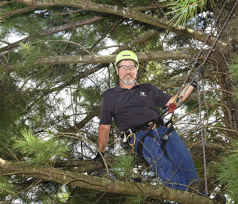 Julie Smith/News Tribune
Ray Wallace climbed a pine tree for his photograph. 