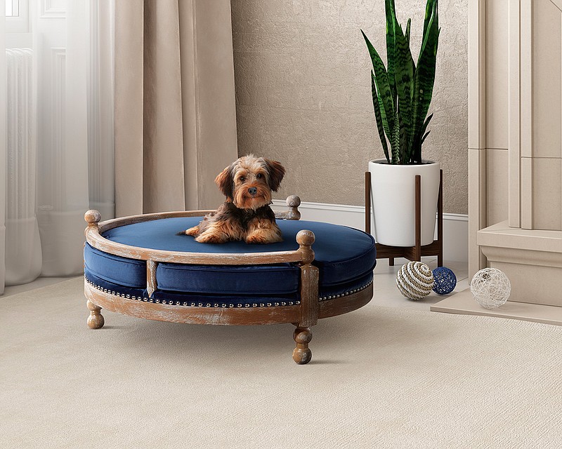 This photo provided by Pottery Barn shows the company's Antique Wood Pet Bed. No longer are furniture companies content to offer you staples like a sofa, easy chair and bed. Now they have those items for your pet, too, designed not to clash with the rest of your decor. Pottery Barn, Crate and Barrel, Ikea, Casper mattresses and other popular furniture purveyors have lines for pets, often in styles that complement their human-size living room furniture. (Pottery Barn via AP)