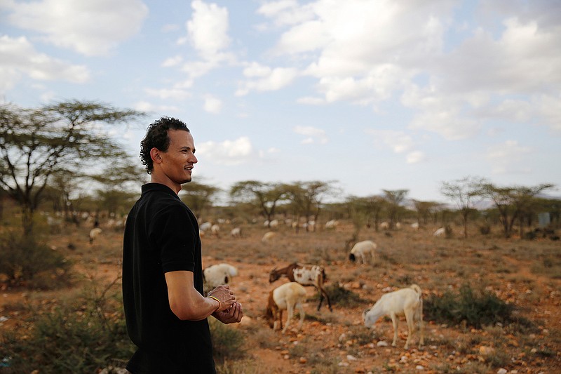 Gerald Erebon looks over livestock at the Archers Post settlement in Kenya on Sunday, June 30, 2019. Erebon has been an outcast all his life: Tall, light-skinned with wavy hair, he looks nothing like the dark-skinned Kenyan man listed as his father on his birth certificate, or his black mother or siblings. He and his family say that's because his biological father is the Rev. Mario Lacchin, an Italian priest of the Consolata Missionaries order who ministered in Archers Post, Kenya in the 1980s. (AP Photo/Brian Inganga)