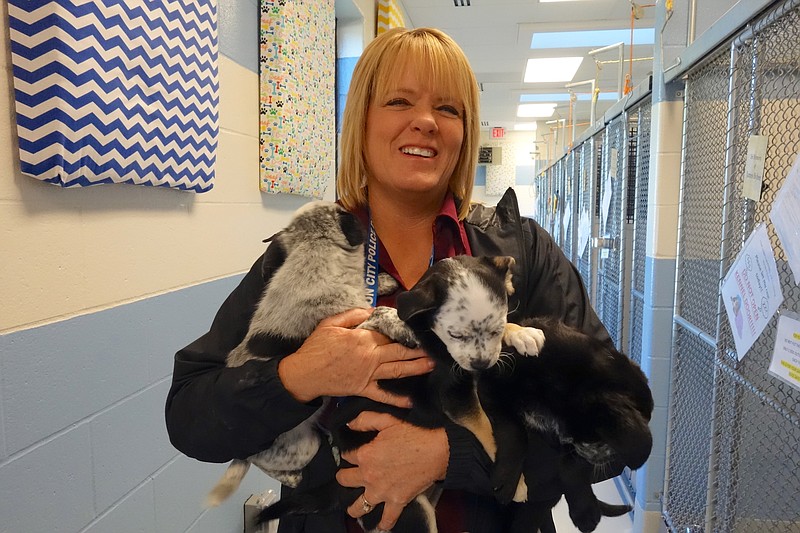 <p>Emily Cole/News Tribune</p><p>Lori Blatter, the new manager of Jefferson City Animal Control, likes to spend time with the animals at the shelter, like these mixed-breed puppies. She plans to feature a different dog each week on Facebook and let them spend time in her office.</p>