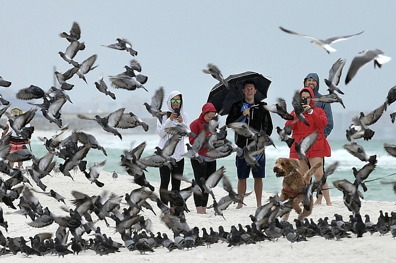 A group of people watch as a pigeons spooked by a dog take flight on the beach at Okaloosa Island near Fort Walton Beach, Fla., on Friday, Oct. 18, 2019. With Tropical Storm Nestor brewing in the Gulf of Mexico, curious onlookers in this Florida panhandle community came out to see the effects of the storm as it approached.  (Devon Ravine/Northwest Florida Daily News via AP)