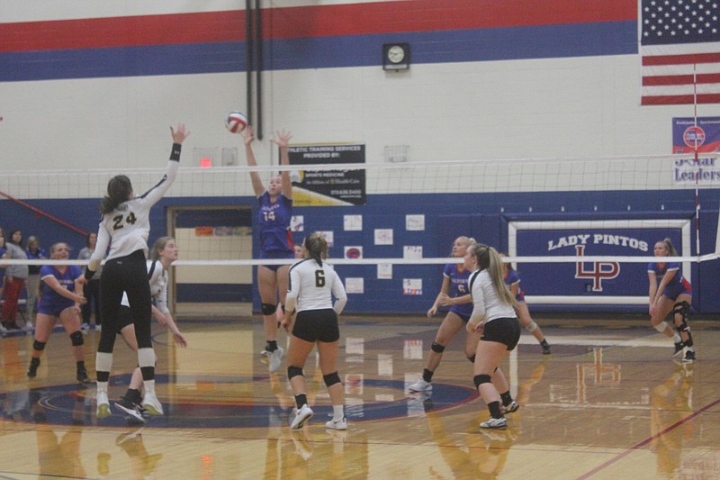 Paige Lamm goes up for the ball during the volleyball team's win over Smith-Cotton on Oct. 21, 2019.