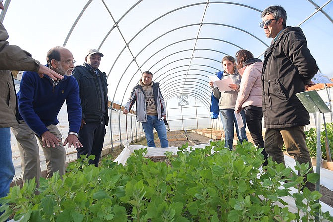 Arslan Hajiyev, at right, listens as Lincoln University professor Safiullah Pathan, at left, talks about growing quinoa during a visit Thursday to LU's Carver Farm. Hajiyev is one of several members of a delegation from Azerbaijan who are visiting Mid-Missouri as guests of Jefferson City Breakfast Rotary Club. 