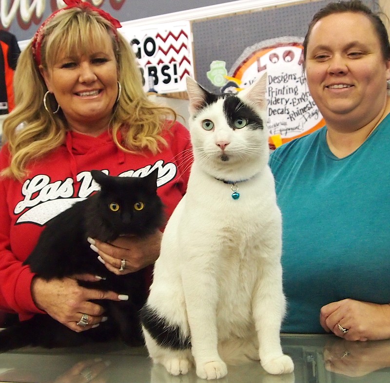 Bonnie and Clyde look for customers at Atlanta Athletics. Michele Talley, left, and Heather Wilson, owner and employee respectively, are glad to share the area with the two cats.

