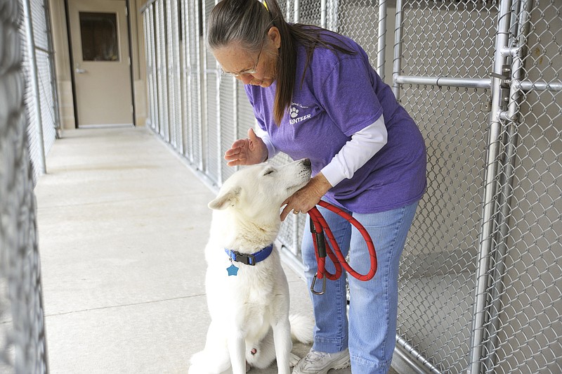 Volunteers ‘crucial’ To Process, Says Jefferson City Animal Shelter ...