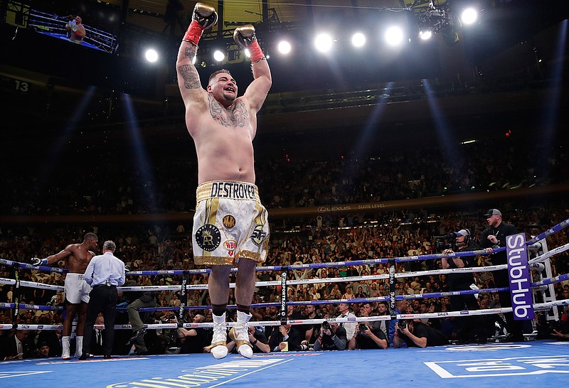 In this Saturday, June 1, 2019 file photo, Mexican American Andy Ruiz celebrates after stopping Britain's Anthony Joshua during the seventh round of a heavyweight championship boxing match in New York. Heavyweight boxing heads to new territory when Andy Ruiz Jr. and Anthony Joshua meet in a rematch in Saudi Arabia on Saturday, Dec. 7, 2019. Ruiz will look to mark the first world title fight in the Middle East for retaining the belts he took from Joshua a major shock in New York in June. (AP Photo/Frank Franklin II, File)