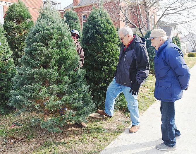 Bob Henley, behind tree at left, pulls the tree off the stand Friday after father and son duo, Bob, right, and Gordon Branson, of Linn, visited the tree lot at the corner of Dunklin and Broadway streets to select a tree to decorate for Christmas.