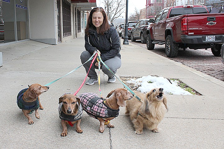 Karen Helmrich walks her four dachshunds Monday. She moved to Fulton three years ago.