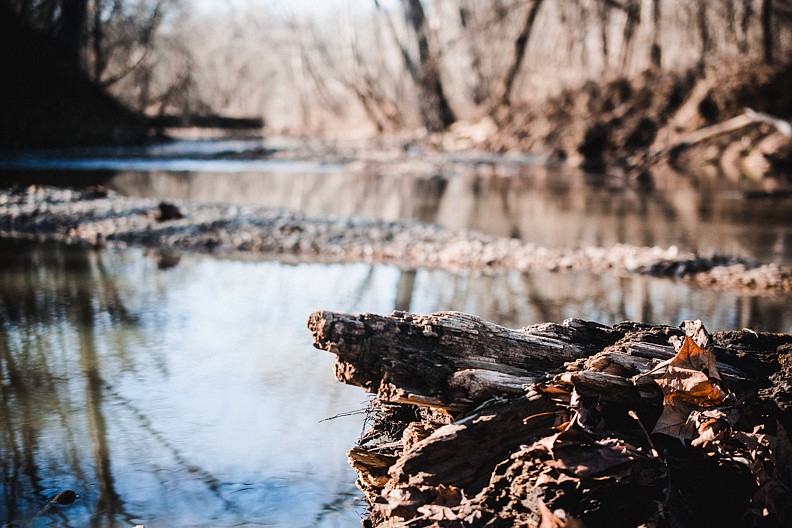 <p>View from a favorite rock-hunting spot at Rock Bridge Memorial State Park.</p>