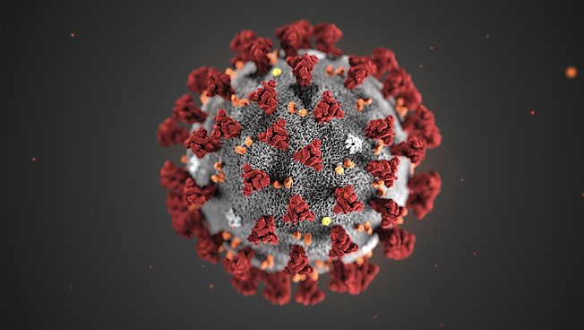 This illustration provided by the Centers for Disease Control and Prevention shows the 2019 Novel Coronavirus (2019-nCoV).
