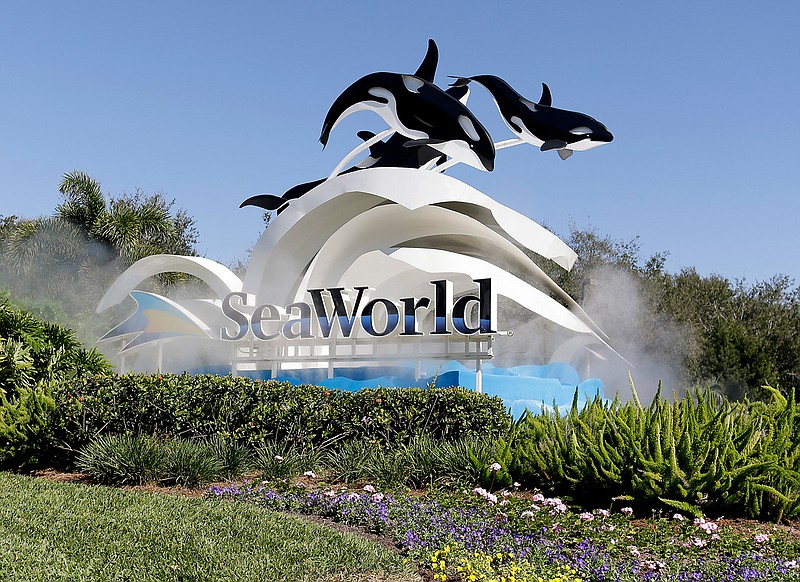 This Jan. 31, 2017, file photo, shows the entrance to SeaWorld, in Orlando, Fla.  SeaWorld Entertainment Inc. on Tuesday, Feb. 11, 2020,  agreed to pay $65 million to settle a lawsuit in which the theme park company was accused of misleading investors over the impact the documentary "Blackfish" was having on its bottom line. SeaWorld did not admit to any wrongdoing under the terms of the settlement filed with the U.S. Securities and Exchange Commission. .(AP Photo/John Raoux, File)