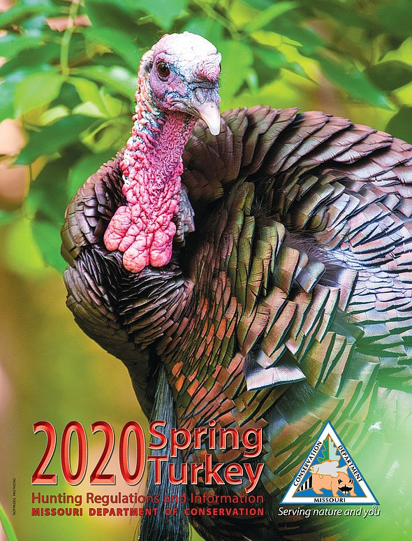 <p>Courtesy of Missouri Department of Conservation</p><p>Get information on spring turkey hunting from MDC’s 2020 Spring Turkey Hunting Regulations and Information booklet, available from MDC offices and nature centers, other places where permits are sold, and online at <a href="https://lnks.gd/l/eyJhbGciOiJIUzI1NiJ9.eyJidWxsZXRpbl9saW5rX2lkIjoxMDQsInVyaSI6ImJwMjpjbGljayIsImJ1bGxldGluX2lkIjoiMjAyMDAzMTYuMTg3OTM2MjEiLCJ1cmwiOiJodHRwczovL2h1bnRmaXNoLm1kYy5tby5nb3Yvc3ByaW5nLXR1cmtleS1odW50aW5nLXJlZ3VsYXRpb25zLWFuZC1pbmZvcm1hdGlvbiJ9.t6_lrGA_yGqrHbZY4nw1RLGEIrT1hC4JVa1B-LFEUqE/br/76162022569-l">huntfish.mdc.mo.gov/spring-turkey-hunting-regulations-and-information</a>.</p>