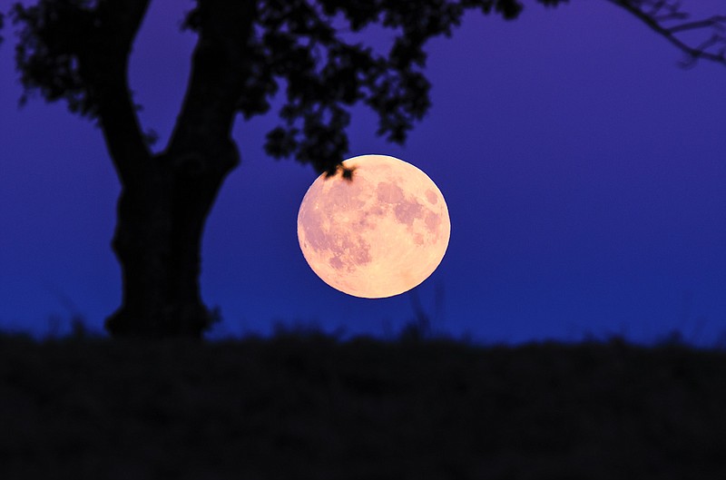 A supermoon rises. The moon became a "Pink Moon" on Tuesday night but was mostly obscured by cloudy skies for parts of the U.S. It still will be almost full tonight. (Dreamstime/TNS)
