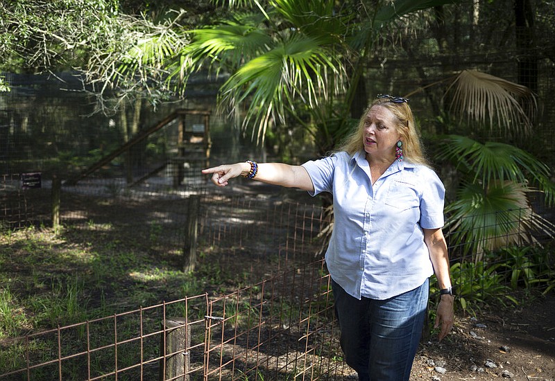 In this July 20, 2017, file photo, Carole Baskin, founder of Big Cat Rescue, walks the property near Tampa, Florida. Baskin was married to Jack "Don" Lewis, whose 1997 disappearance remains unsolved and is the subject of a new Netflix series "Tiger King."