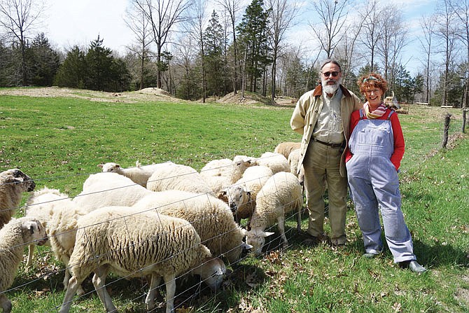 ABOVE: David Coplen, left, and his wife, Carol Fulkerson, have been raising sheep together on their farm near Fulton for more than two decades. Today, they have around 100 ewes producing some 200 lambs per year, though, they're pictured here with their rams.