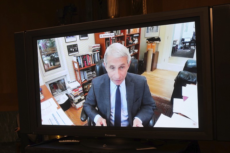 Dr. Anthony Fauci, director of the National Institute of Allergy and Infectious Diseases speaks remotely during a virtual Senate Committee for Health, Education, Labor, and Pensions hearing, Tuesday, May 12, 2020 on Capitol Hill in Washington.