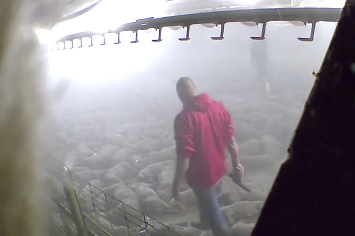 This image taken from a May 19, 2020, video provided by Direct Action Everywhere, shows workers in Grundy County, Iowa, walking among carcasses and using bolt guns to kill pigs that remain alive after they had been exposed to heat in an effort to euthanize the animals. Meatpacking plants that had to close due to coronavirus outbreaks have been running for weeks, but production backlogs are forcing farmers to euthanize thousands of hogs that can't be processed, drawing complaints from animal welfare advocates. (Direct Action Everywhere via AP)