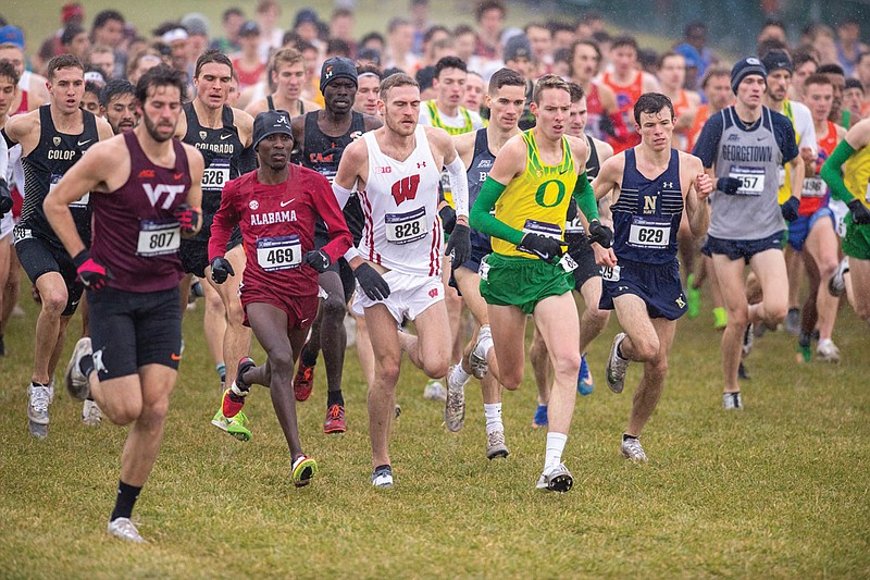 Runners compete in the men's NCAA Division I cross country national championships last November in Terre Haute, Ind. Cross country is one of the sports some colleges are cutting because of budget shortfalls. 