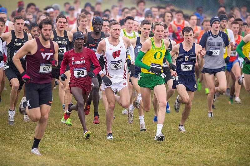 In this Nov. 23, 2019, file photo, runners compete in the men's NCAA Division I Cross-Country Championships in Terre Haute, Ind. Four-year colleges facing budget shortfalls stemming from the coronavirus outbreak have eliminated a total of nearly 100 sports programs since March. (AP Photo/Doug McSchooler, File)