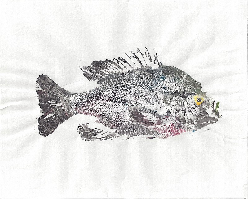 HER, Gyotaku: How to preserve your prized catch through fun, artful  printing