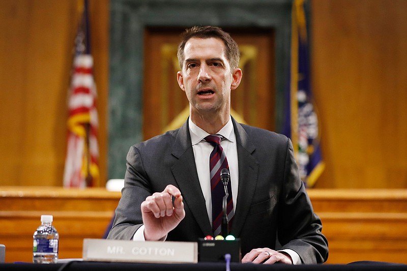 In this May 5, 2020, file photo Sen. Tom Cotton, R-Ark., speaks during a Senate Intelligence Committee nomination hearing for Rep. John Ratcliffe, R-Texas, on Capitol Hill in Washington. (AP Photo/Andrew Harnik, Pool, File)