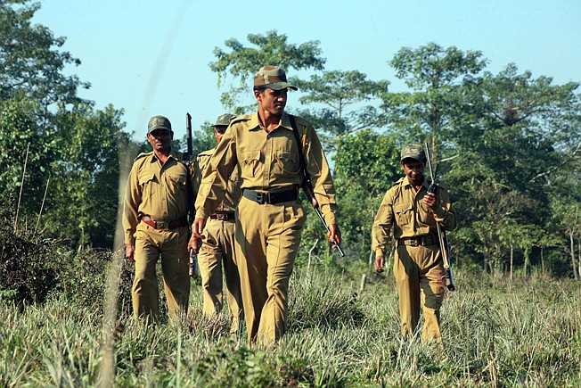 In this July 2013 photo provided by the Wildlife Trust of India, forest guards check for snares during a patrol in the Manas National Park in northeastern India which is inhabited by tigers and elephants. Located in the Himalayan foothills, the protected forests are known for rare species like the golden langur and pygmy hog and the forests are contiguous with the Royal Manas National Park in Bhutan. (WTI via AP)