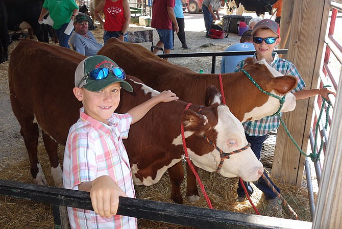 Adler, left, and Grayson Kautsch hang out Friday with their Herefords at the Callaway Youth Expo. The 8-year-old twins competed together.