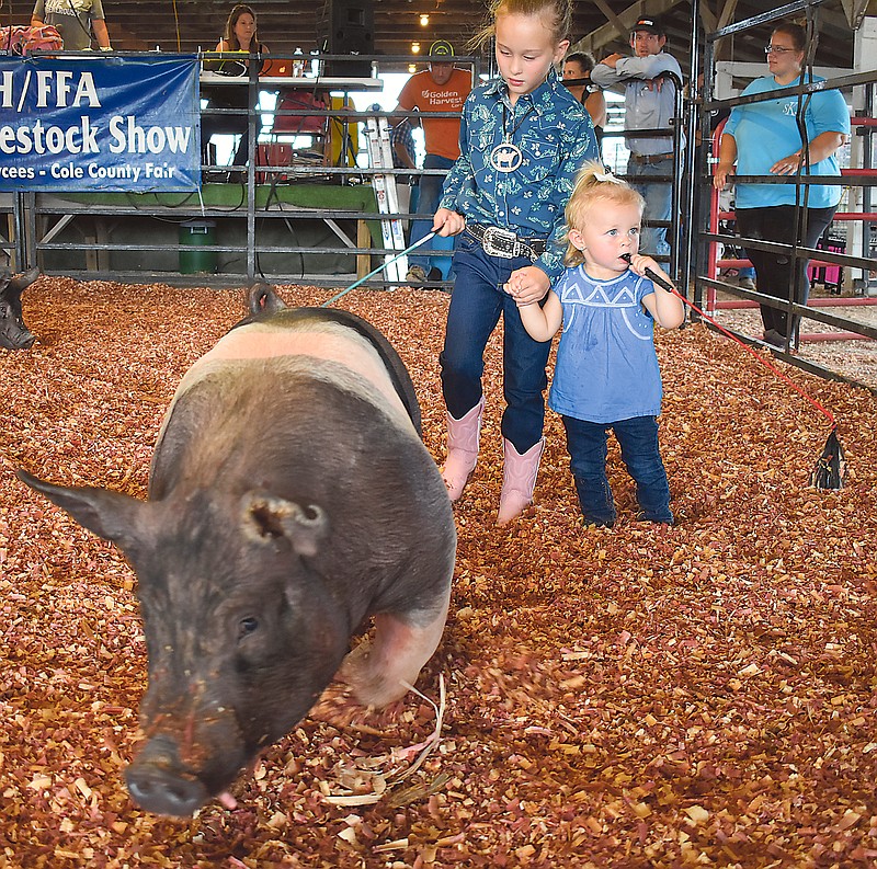From left, Maggie Thessen, 7, and Emery Kautsch, 1, show a pig during the Pee Wee Show at the Jefferson City Jaycees Cole County Fair Sunday.