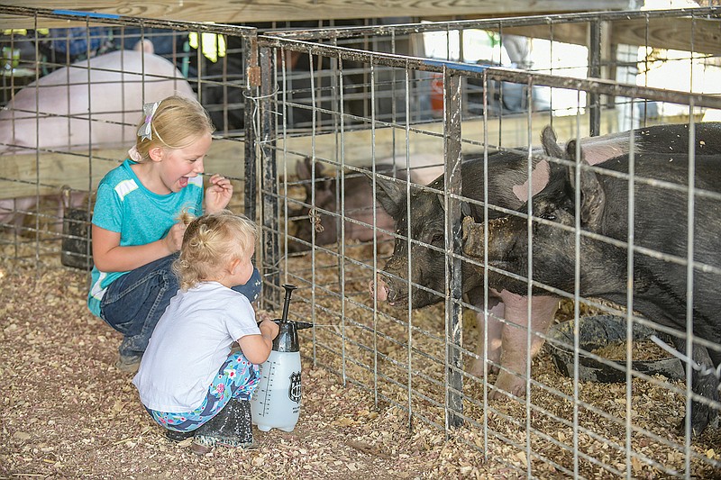 Adrian Holtgrewe, 7, left, watches as her cousin, Sloane Schmidt, 2, sprays a cool mist on the pigs Tuesday, which was the day for swine to shine at the Jefferson City Jaycees Cole County Fair.