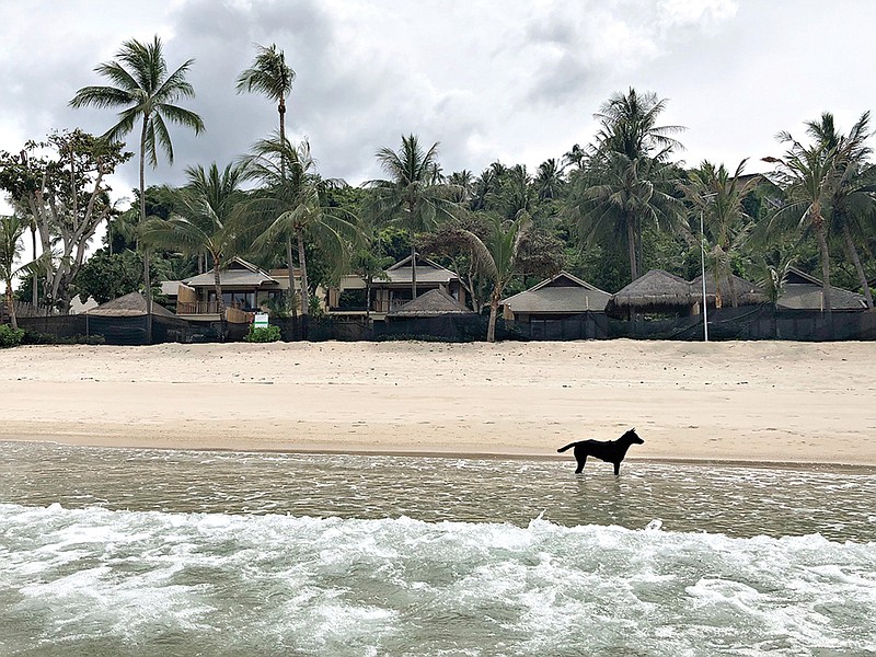 A stray dog stands in front of a shuttered luxury hotel on the popular tourist island of Koh Phangan, Thailand, on Thursday, July 2, 2020. While the hotel has since reopened, Tourism in Thailand has taken a severe hit because of travel restrictions prompted by the coronavirus pandemic, leaving many popular beaches nearly empty. (AP Photo/Adam Schreck)